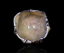 Load image into Gallery viewer, Kei Wakao rice-colored celadon tea bowl