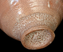 画像をギャラリービューアに読み込む, 金宗勲 大井戸茶盌 銘「蒼龍」