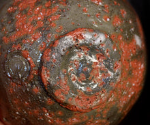 画像をギャラリービューアに読み込む, 若尾利貞 赤楽茶盌