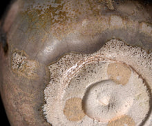 画像をギャラリービューアに読み込む, 吉見螢石 淡変須恵茶盌