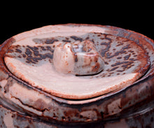 画像をギャラリービューアに読み込む, 若尾利貞 鼡志野水指