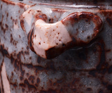 画像をギャラリービューアに読み込む, 若尾利貞 鼡志野水指