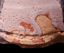 画像をギャラリービューアに読み込む, 若尾利貞 鼡志野水指