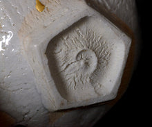 画像をギャラリービューアに読み込む, マイケルマルティノ 泉山御所丸茶盌