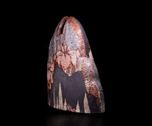 画像をギャラリービューアに読み込む, 若尾利貞 鼡志野花器