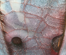 画像をギャラリービューアに読み込む, 若尾経 練込青瓷茶盌