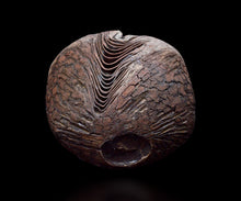 画像をギャラリービューアに読み込む, 泉田之也 積層裂盌