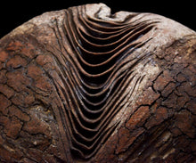 画像をギャラリービューアに読み込む, 泉田之也 積層裂盌