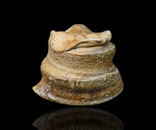 画像をギャラリービューアに読み込む, ポールフライマン 灰釉片口