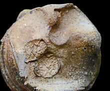 画像をギャラリービューアに読み込む, ポールフライマン 灰釉片口