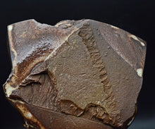 画像をギャラリービューアに読み込む, ミハイルトヴストス "Discovery" 湯呑