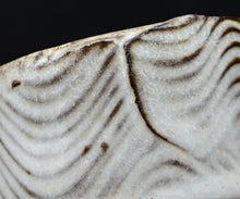 画像をギャラリービューアに読み込む, ポールフライマン "LAVA" 白釉ぐい呑