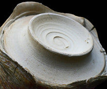 画像をギャラリービューアに読み込む, ポールフライマン "LAVA" 抹茶碗C