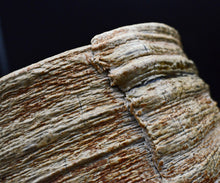 画像をギャラリービューアに読み込む, ポールフライマン "LAVA" 抹茶碗C