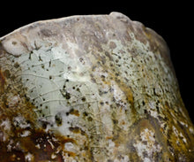 画像をギャラリービューアに読み込む, ジェフシャピロ 灰釉志野茶盌