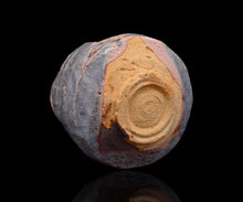 画像をギャラリービューアに読み込む, 若尾利貞 鼡志野茶垸 銘「白嶺」