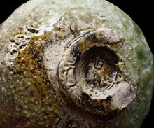 画像をギャラリービューアに読み込む, 吉見螢石 窯変須恵器茶碗 銘「鶯」