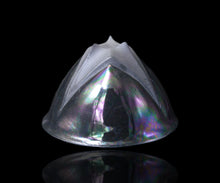 画像をギャラリービューアに読み込む, 松村淳 twss (Sa)2 カップ