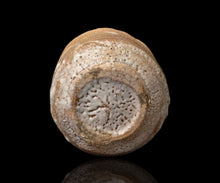 画像をギャラリービューアに読み込む, 川瀬隆一郎 崎陽高麗 たる井戸くい乃み