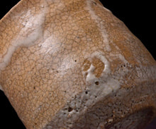 画像をギャラリービューアに読み込む, 川瀬隆一郎 崎陽高麗 たる井戸くい乃み