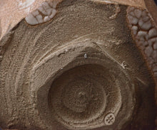 画像をギャラリービューアに読み込む, 金宗勲 井戸鎬筒茶盌