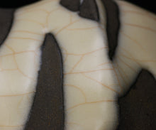 画像をギャラリービューアに読み込む, 若尾経 象牙瓷茶盌