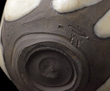 画像をギャラリービューアに読み込む, 若尾経 象牙瓷茶盌