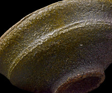 画像をギャラリービューアに読み込む, 三藤るい 柿の蔕ぐい呑