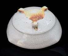 画像をギャラリービューアに読み込む, 光藤佐 草花文絵志野鉢