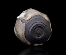 画像をギャラリービューアに読み込む, 若尾経 米色瓷茶盌 銘「玉霞」