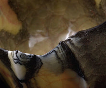 画像をギャラリービューアに読み込む, 若尾経 米色瓷茶盌 銘「玉霞」