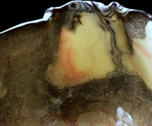 画像をギャラリービューアに読み込む, 若尾経 米色瓷茶盌 銘「玉霞」