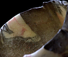 画像をギャラリービューアに読み込む, 若尾経 米色瓷茶盌 銘「玉霞」