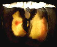 画像をギャラリービューアに読み込む, 若尾経 米色瓷茶盌 銘「玉霞」