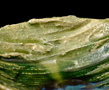 画像をギャラリービューアに読み込む, 鈴木徹 緑釉酒盃