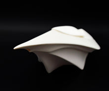 画像をギャラリービューアに読み込む, アマンダトン × 松村淳 Penumbra 1.01