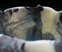 画像をギャラリービューアに読み込む, 若尾経 練込窯変青磁片口