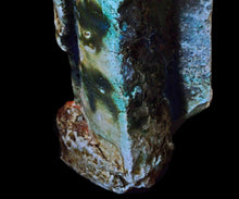 画像をギャラリービューアに読み込む, ジェフシャピロ 織部巌