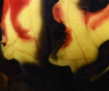 画像をギャラリービューアに読み込む, 若尾経 青磁花入