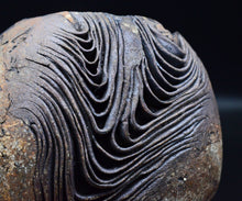 画像をギャラリービューアに読み込む, 泉田之也 二重積層盌