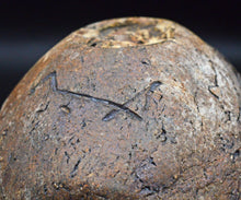 画像をギャラリービューアに読み込む, 泉田之也 二重積層盌