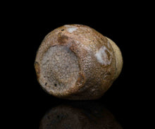 画像をギャラリービューアに読み込む, 川瀬隆一郎 崎陽高麗 井戸瓢振出