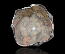 画像をギャラリービューアに読み込む, 若尾経 米色瓷茶盌