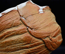 画像をギャラリービューアに読み込む, ポールフライマン "LAVA" 抹茶碗A