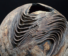 画像をギャラリービューアに読み込む, 泉田之也 積層花器・球