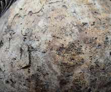 画像をギャラリービューアに読み込む, 泉田之也 積層花器・球