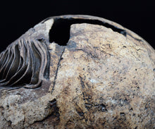 画像をギャラリービューアに読み込む, 泉田之也 積層花器・球