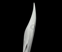 画像をギャラリービューアに読み込む, 松村淳 PO-L 01 (meta) 茶杓