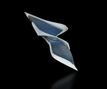 画像をギャラリービューアに読み込む, 松村淳 Apoptosis (voluptuous) (Sa)2 プレート