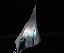 画像をギャラリービューアに読み込む, 松村淳 Apoptosis (voluptuous) (Sa)2 プレート